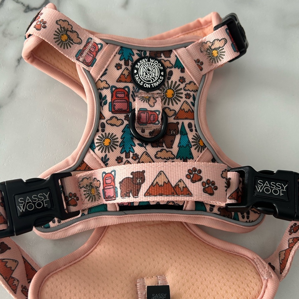 Sassy Woof medium harness